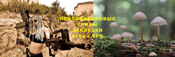 кристаллы Коряжма