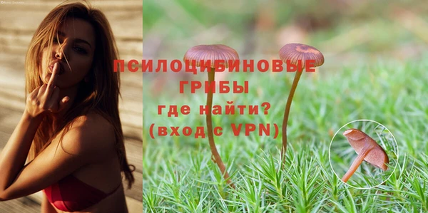 прущая мука Костерёво