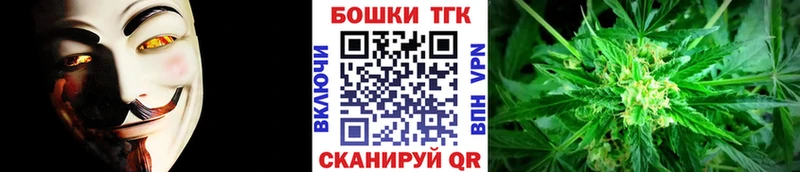 Купить где Орёл Канабис индика